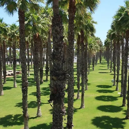 Sunny Tanife By Yumbo * Playa del Inglés