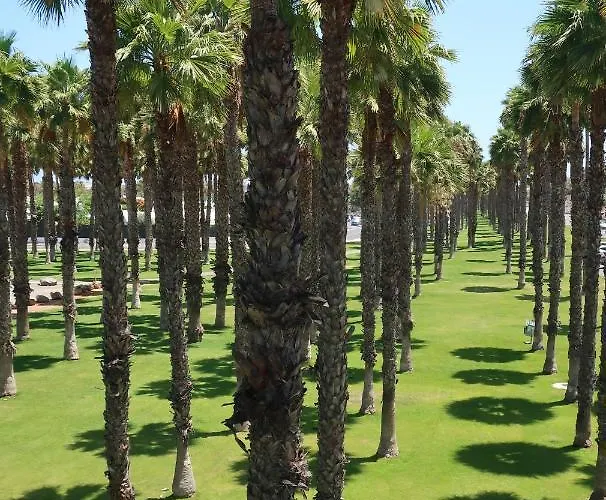 Sunny Tanife By Yumbo * Playa del Inglés