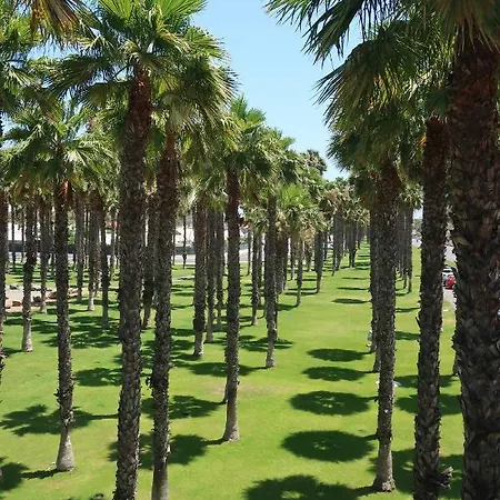 Sunny Tanife By Yumbo * Playa del Inglés