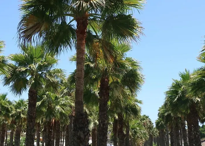 Appartamento Sunny Tanife By Yumbo *