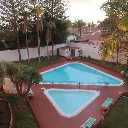 Sunny Tanife By Yumbo