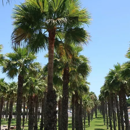 Διαμέρισμα Sunny Tanife By Yumbo *